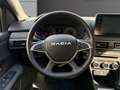 Dacia Sandero Sandero ECO-G 100 Stepway Extreme + Grau - thumbnail 13