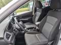 Suzuki S-Cross 1,4 GL+ DITC Hybrid ALLGRIP shine Aut.*ab € 18.... Weiß - thumbnail 8