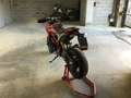 Ducati Hypermotard 821 Czerwony - thumbnail 6