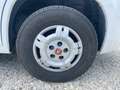 Caravans-Wohnm Weinsberg CaraSuite su FIAT Ducato 35 2.3d MJT 130 CV Blanco - thumbnail 12