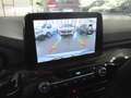 Ford Kuga 1.5 ecoblue ST-Line 2wd 120cv auto Bianco - thumbnail 15