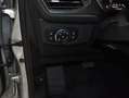 Ford Focus 1.0 Ecoboost 155CV MHEV Active Autom. Plateado - thumbnail 11