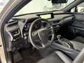 Lexus UX 250h LUXURY LINE Silber - thumbnail 12