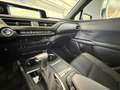 Lexus UX 250h LUXURY LINE Silber - thumbnail 17