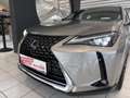 Lexus UX 250h LUXURY LINE Silber - thumbnail 39