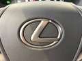 Lexus UX 250h LUXURY LINE Silber - thumbnail 30