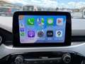 Ford Kuga 1.5 EcoBlue 120 CV aut. 2WD Titanium Business Grigio - thumbnail 15
