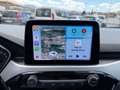 Ford Kuga 1.5 EcoBlue 120 CV aut. 2WD Titanium Business Grigio - thumbnail 14