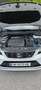 SEAT Ateca Ateca 2,0 FR TDI DSG FR Weiß - thumbnail 24