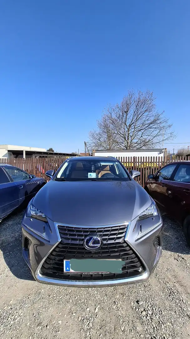 Lexus NX 300h Executive Hybrid Aut. Grau - 1