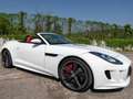 Jaguar F-Type F-Type Cabrio 5.0 V8 S auto Bianco - thumbnail 6