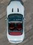 Jaguar F-Type F-Type Cabrio 5.0 V8 S auto Bianco - thumbnail 13