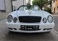 Mercedes-Benz CLK 230 Cabrio Kompressor Sport - thumbnail 4