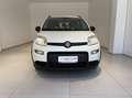 Fiat Panda 1.0 firefly hybrid City Life s&s 70cv 5p.ti Blanc - thumbnail 2