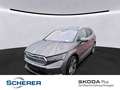 Skoda Enyaq iV 80x Loft AHK PDC Canton Assisted Drive Grau - thumbnail 1