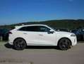 GWM WEY 05 2.0 PHEV 350 KW / 476 PS, Premium, Weiß - thumbnail 2