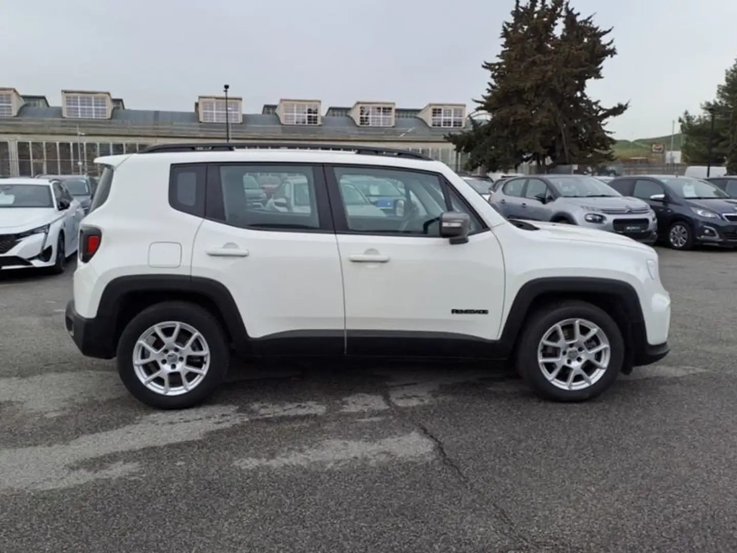 Jeep Renegade 1.3 T4 DDCT 150cv Limited White - 2