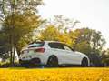 BMW 114 114d 5p Sport - thumbnail 6