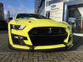 Ford Mustang Shelby GT 500 Recaro Technologie Paket Gelb - thumbnail 2