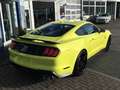 Ford Mustang Shelby GT 500 Recaro Technologie Paket Gelb - thumbnail 4
