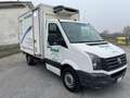 Volkswagen Crafter crafter 1589kg portara no atp fatturabile - thumbnail 3