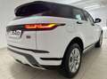 Land Rover Range Rover Evoque 2.0d i4 mhev R-Dynamic S awd 180cv auto - thumbnail 6