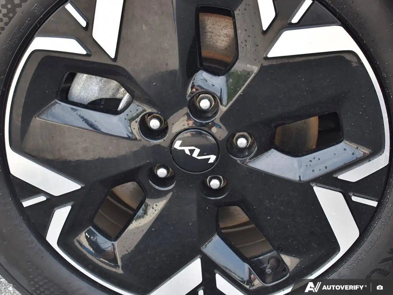 Kia Niro снимка Kia Niro
