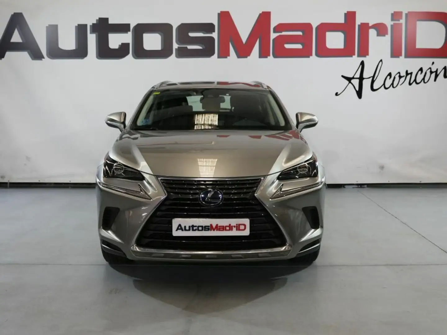 Lexus NX 300 2.5 300h Business Navigation 2WD Brown - 2