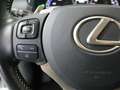 Lexus NX 300 2.5 300h Business Navigation 2WD Brown - thumbnail 17