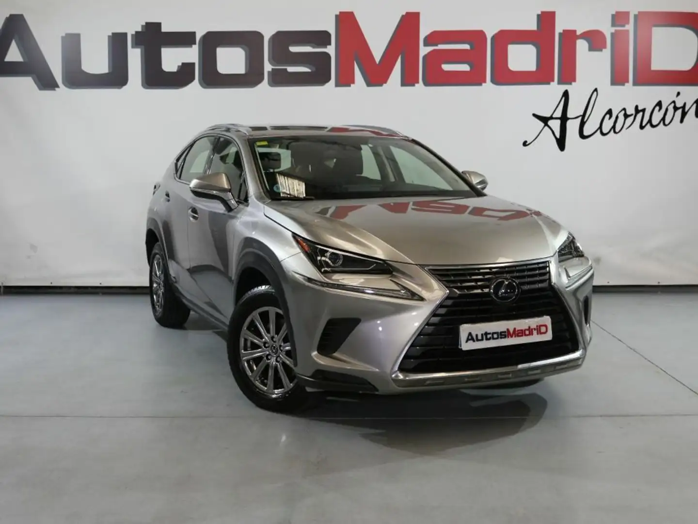 Lexus NX 300 2.5 300h Business Navigation 2WD - 1