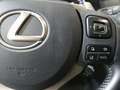 Lexus NX 300 2.5 300h Business Navigation 2WD Brown - thumbnail 18