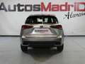 Lexus NX 300 2.5 300h Business Navigation 2WD Brown - thumbnail 4