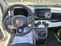 Fiat Panda Panda 1.0 FireFly S&S Hybrid Pandina CROSS Blanco - thumbnail 11