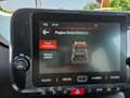 Fiat Panda Panda 1.0 FireFly S&S Hybrid Pandina CROSS Blanco - thumbnail 17