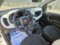 Fiat Panda Panda 1.0 FireFly S&S Hybrid Pandina CROSS Blanco - thumbnail 8