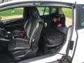 Ford B-Max B-MAX 1.0 EcoBoost SYNC Edition Alb - thumbnail 4