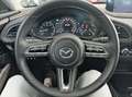 Mazda CX-30 2.0 Skyactiv-X Zenith Black Safety 2WD Aut 137kW - thumbnail 10