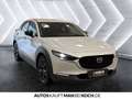 Mazda CX-30 2.5 SKYACTIV-G M Hy. Homura AT Navi ACC Beige - thumbnail 5