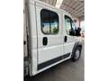 Citroen Jumper Chasis DCb. 2.0BlueHDi 35 L4 Heavy 160 Blanco - thumbnail 11