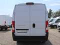 Fiat Ducato L2H2 Kasten/€ 14.900,-netto/KAMERA NAVI LED TEL Weiß - thumbnail 5