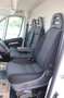 Fiat Ducato L2H2 Kasten/€ 14.900,-netto/KAMERA NAVI LED TEL Weiß - thumbnail 10
