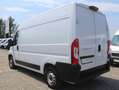 Fiat Ducato L2H2 Kasten/€ 14.900,-netto/KAMERA NAVI LED TEL Weiß - thumbnail 4
