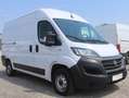 Fiat Ducato L2H2 Kasten/€ 14.900,-netto/KAMERA NAVI LED TEL Weiß - thumbnail 3