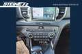 Kia Sportage Gold Automatic, JBL, AHK Weiß - thumbnail 10