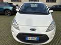 Ford Ka/Ka+ Ka 1.3 Open Collection 70cv per neopatentati Bianco - thumbnail 2