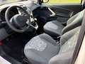 Ford Ka/Ka+ Ka 1.3 Open Collection 70cv per neopatentati Bianco - thumbnail 10