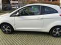 Ford Ka/Ka+ Ka 1.3 Open Collection 70cv per neopatentati Bianco - thumbnail 8