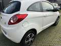 Ford Ka/Ka+ Ka 1.3 Open Collection 70cv per neopatentati Bianco - thumbnail 5