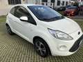 Ford Ka/Ka+ Ka 1.3 Open Collection 70cv per neopatentati Bianco - thumbnail 3