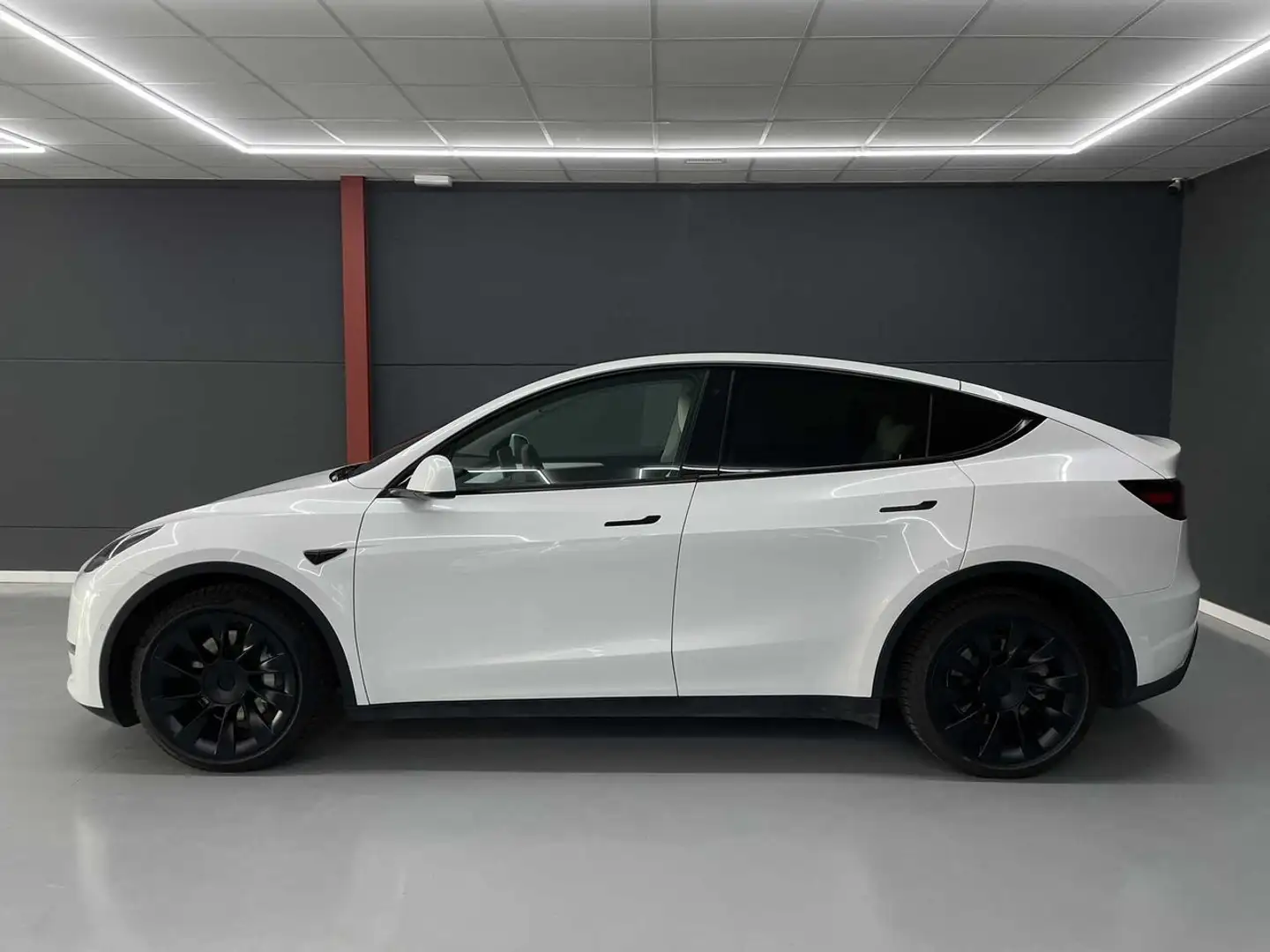 Tesla Model Y Long Range Raven 31.800e neto Wit - 2